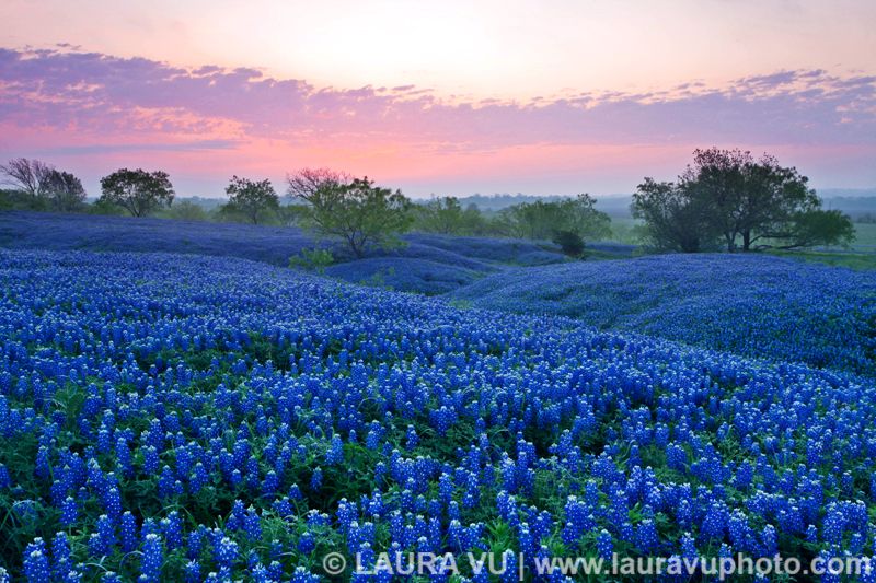 Perfect morning - Ellis County, Texas