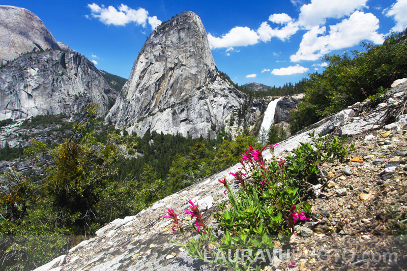 Yosemite National Park Photo