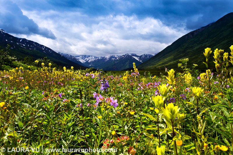 Alaska Landscape Photo