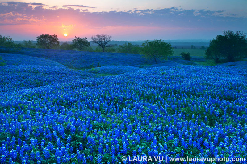 Texas Landscape Photo