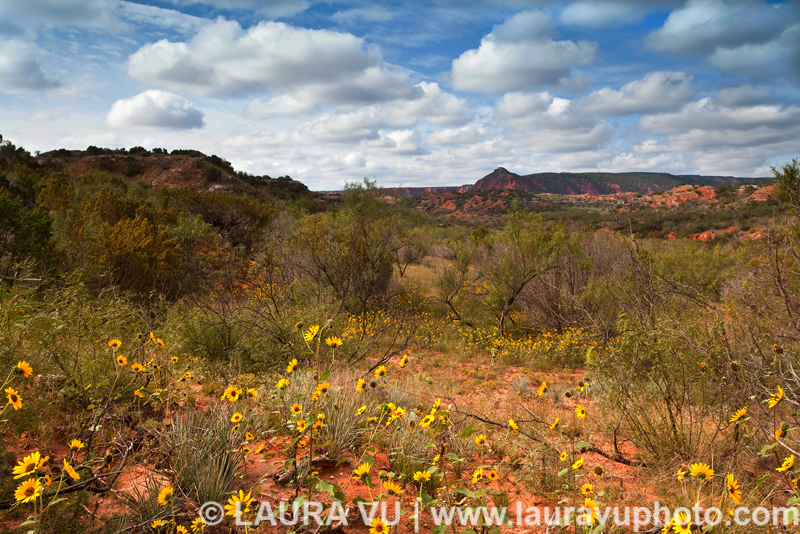 Caprock Canyons State Park Photo