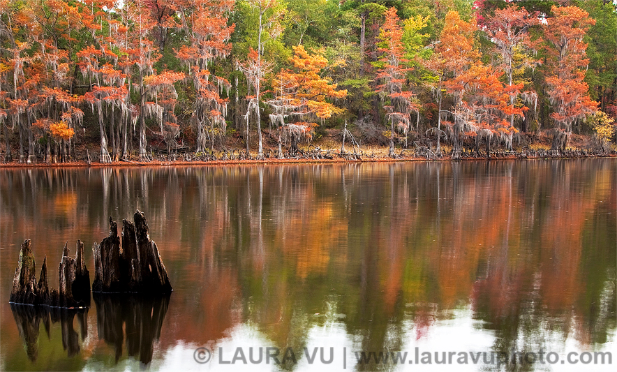 Caddo Lake State Park in fall foliage
