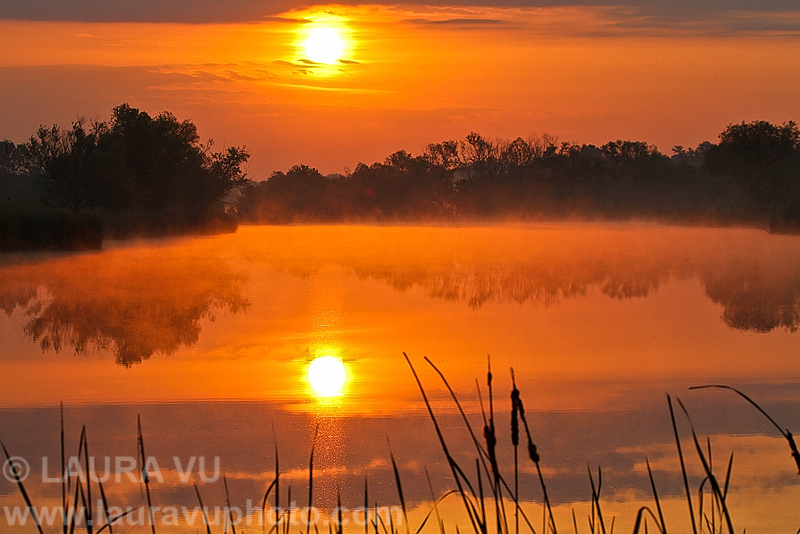 Sunrise in Texas Pond