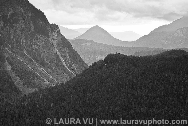 Mount Rainier Black and White