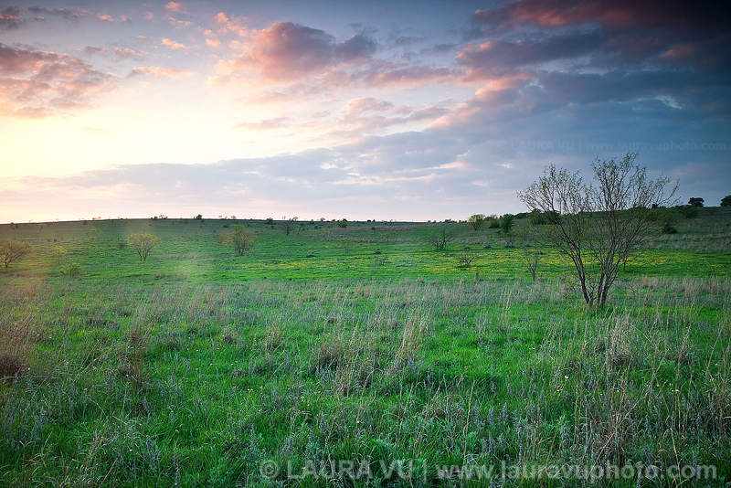 Open Pasture Prairie Land