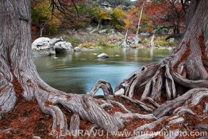 Hint of Fall - Guadalupe River State Park, Texas