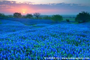 Layers - Ellis County, Texas